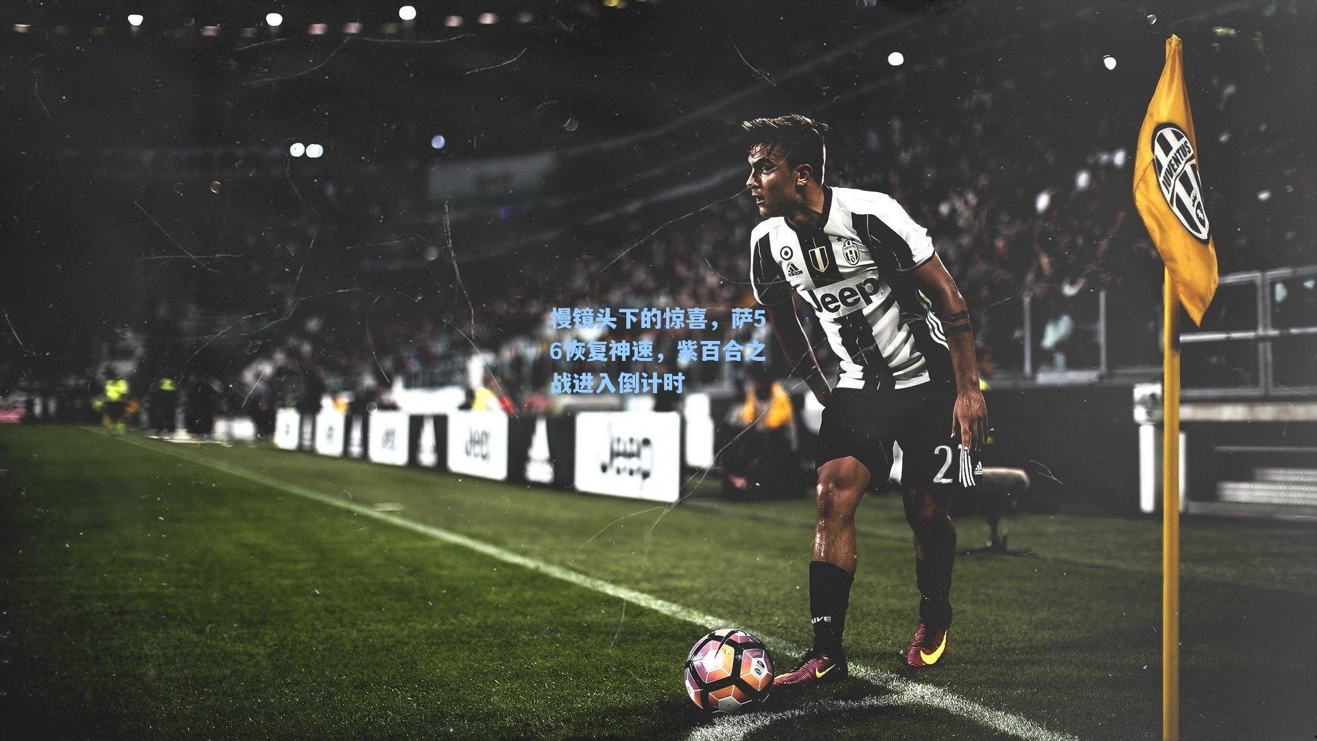 慢镜头下的惊喜,萨56恢复神速,紫百合之战进入倒计时