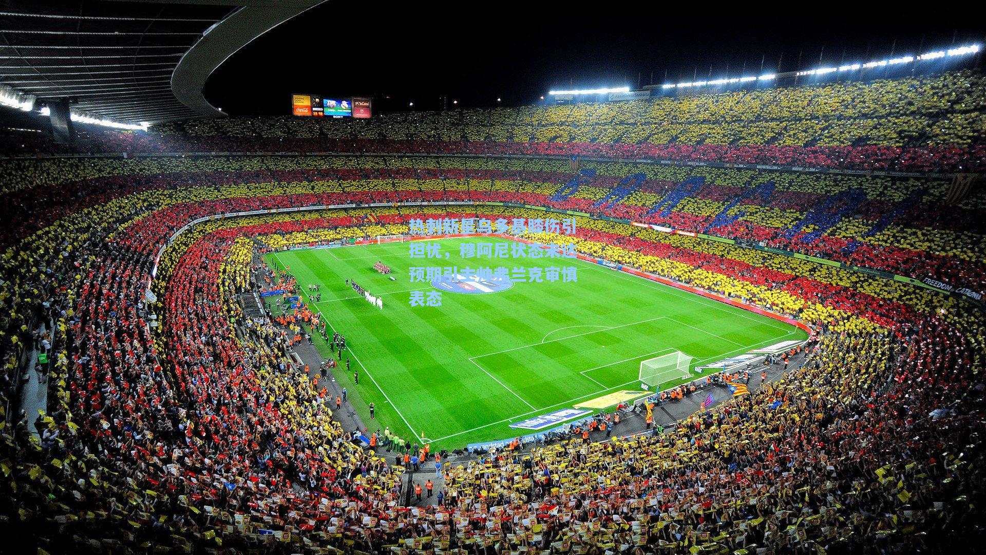 热刺新星乌多基膝伤引担忧，穆阿尼状态未达预期引主帅弗兰克审慎表态