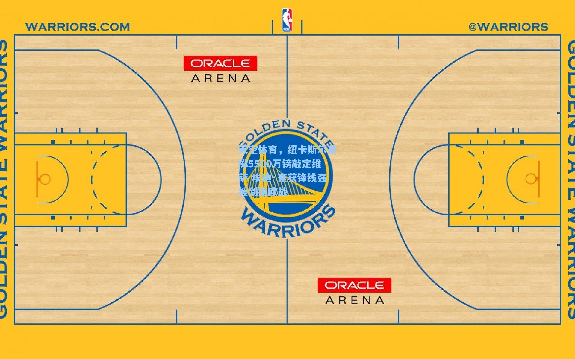 天空体育，纽卡斯尔豪掷5500万镑敲定维萨 埃迪·豪获锋线强援剑指欧战